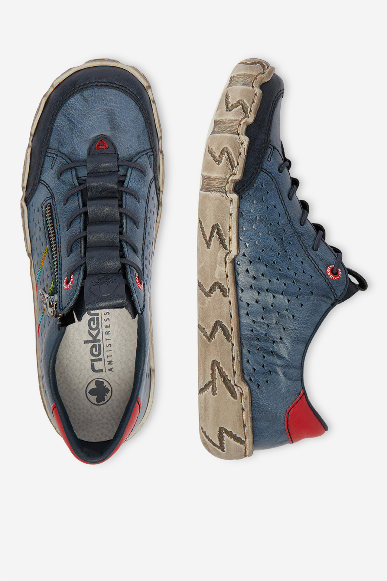 Polobotky Temný blankyt