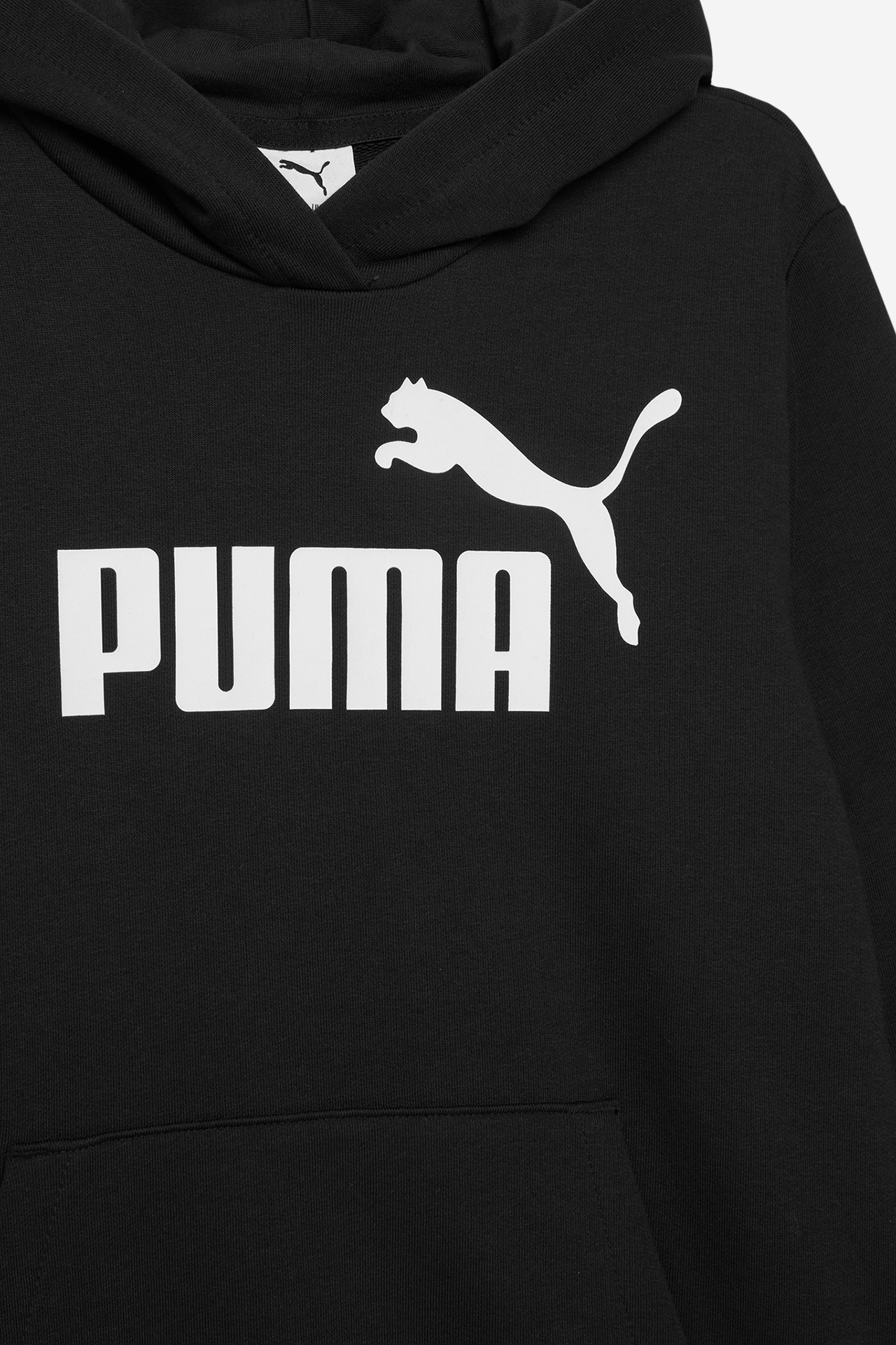 Bluza