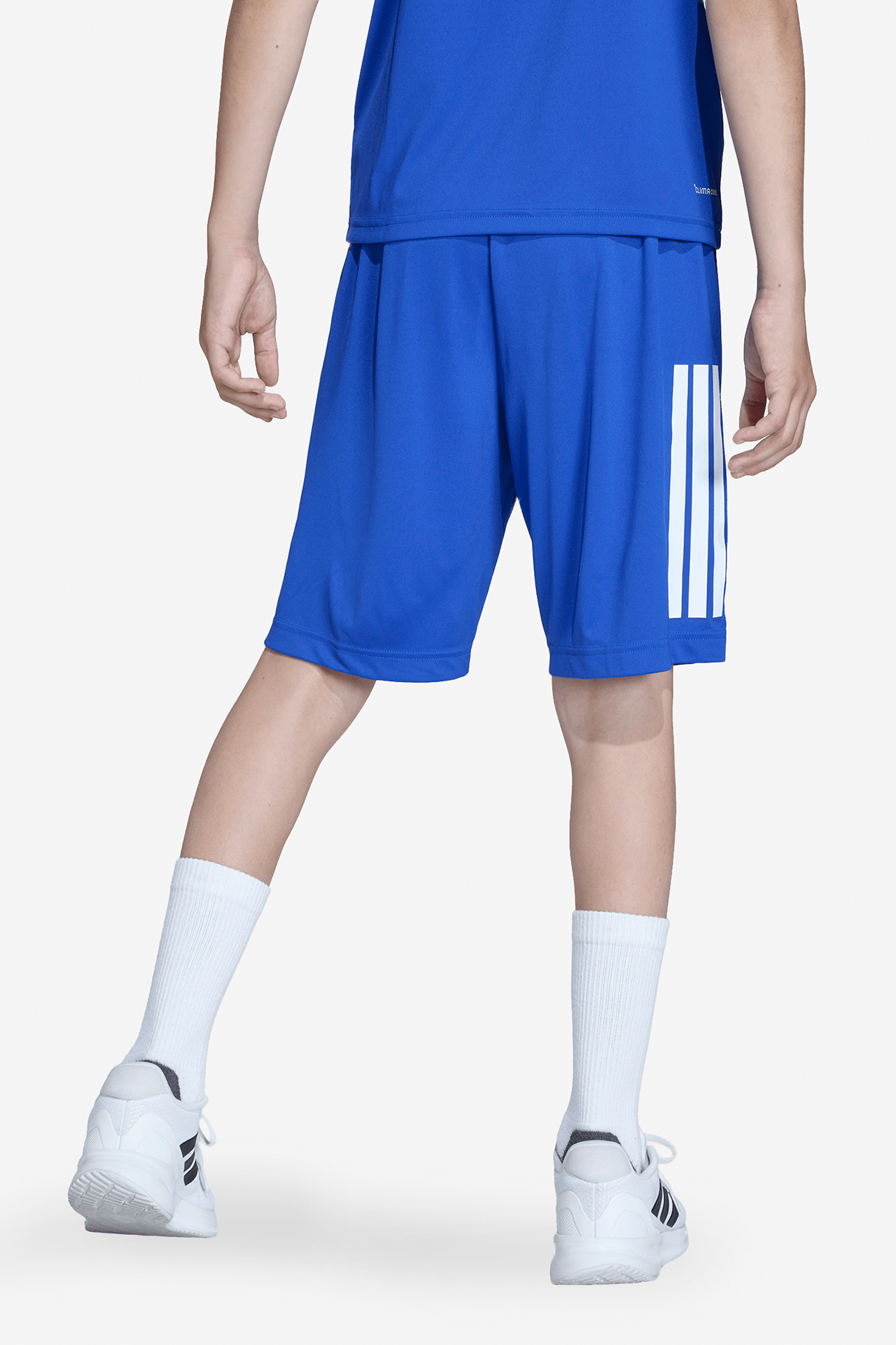 Szorty sportowe