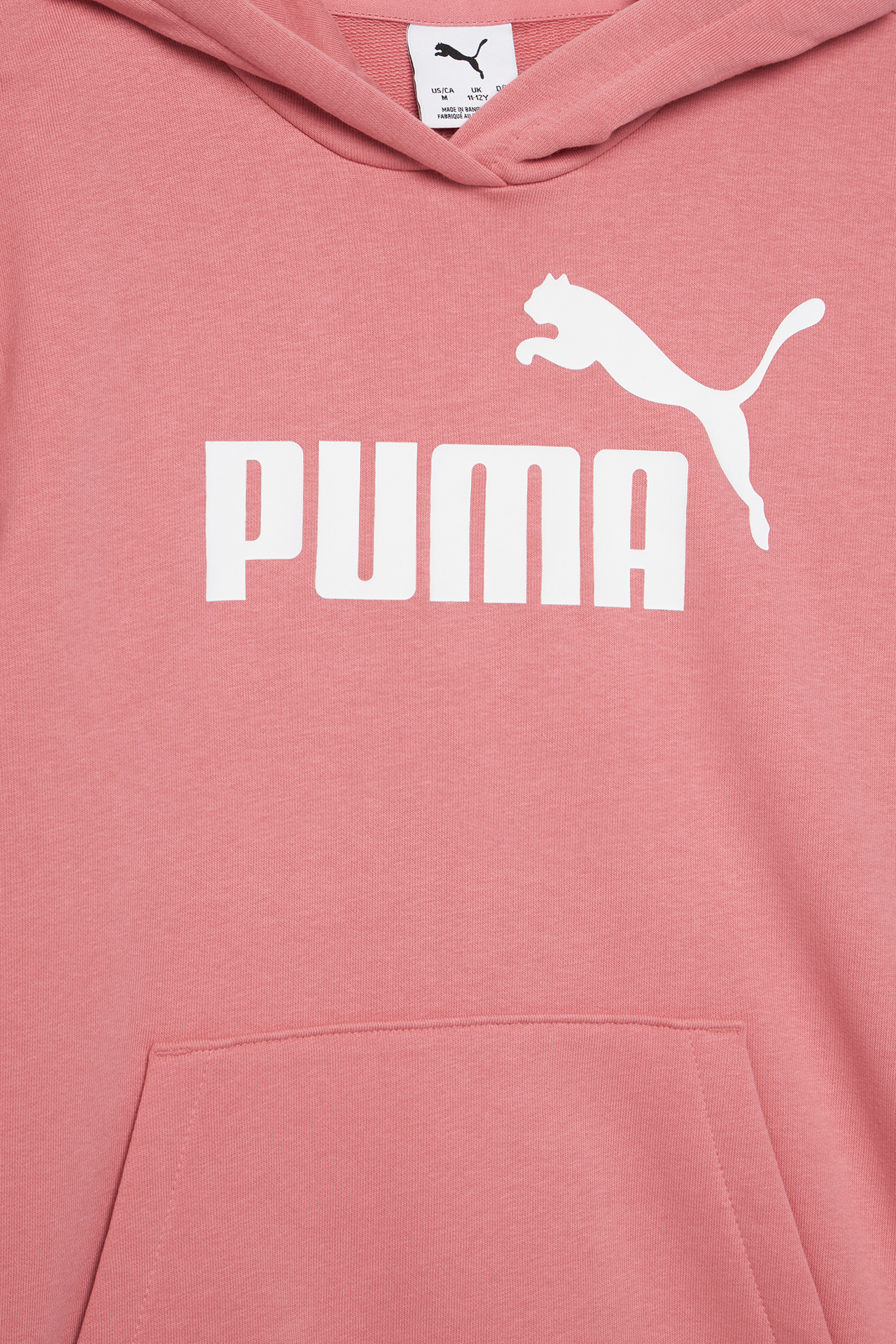 Bluza