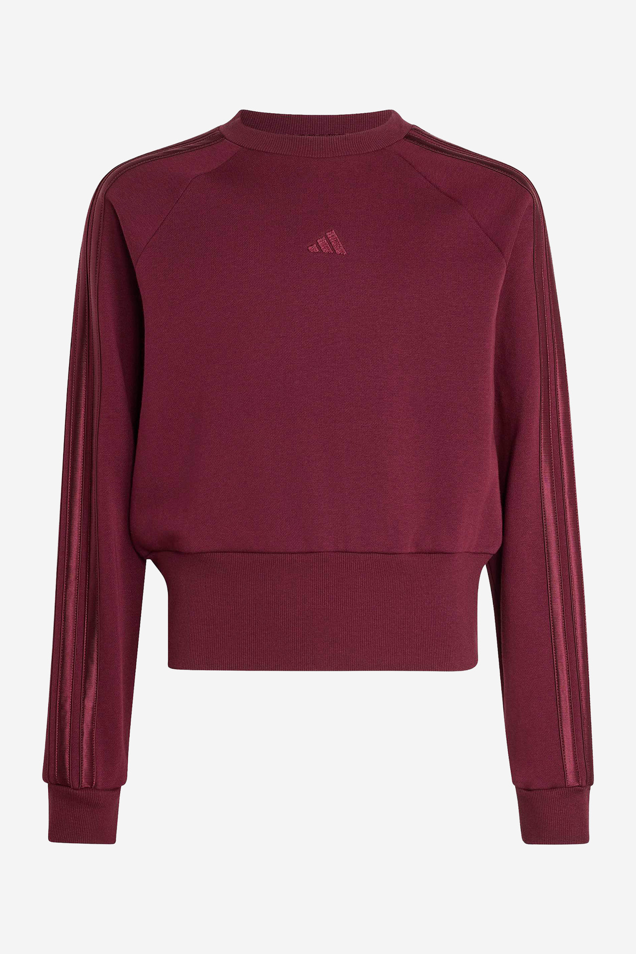 Bluza