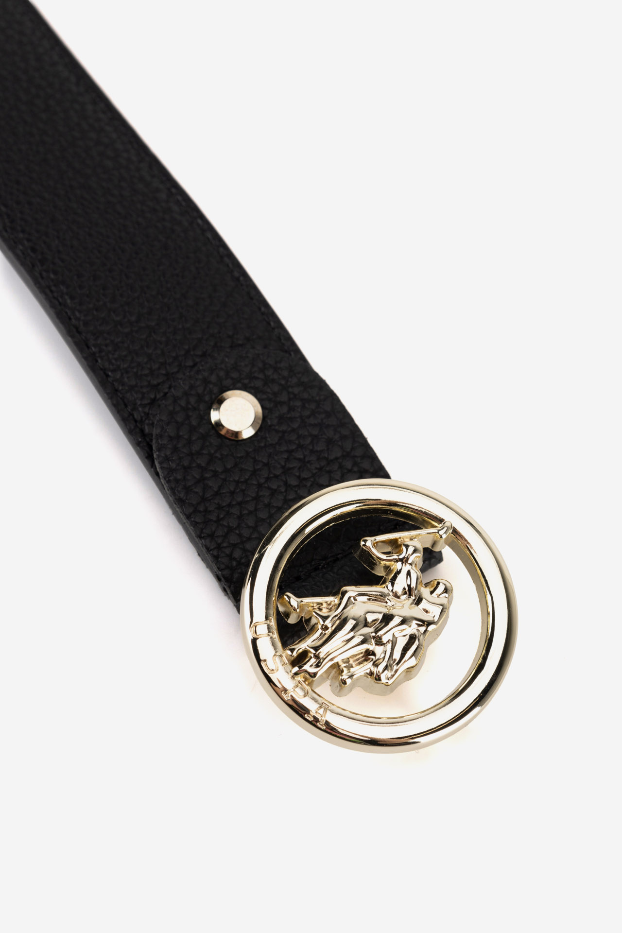 Pas Čokoladno rjava