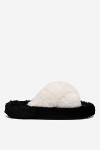 Papuci de casă DeeZee P4194523 Negru