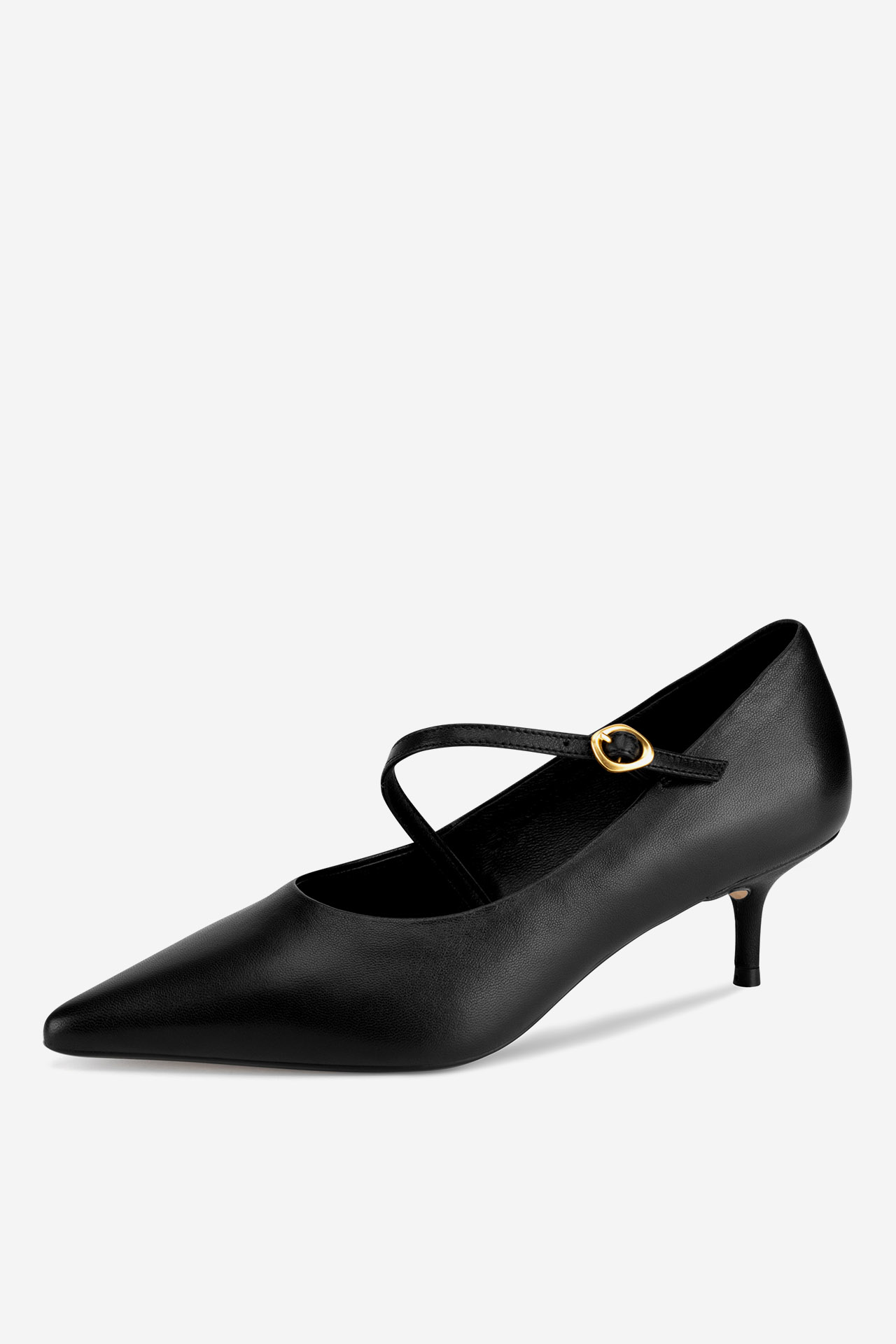 Salonarji Črna