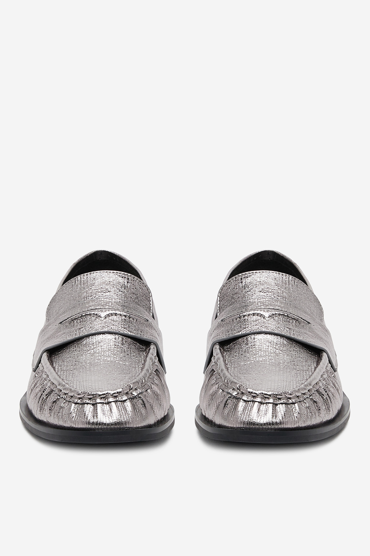 Polobotka STŘÍBRNÁ