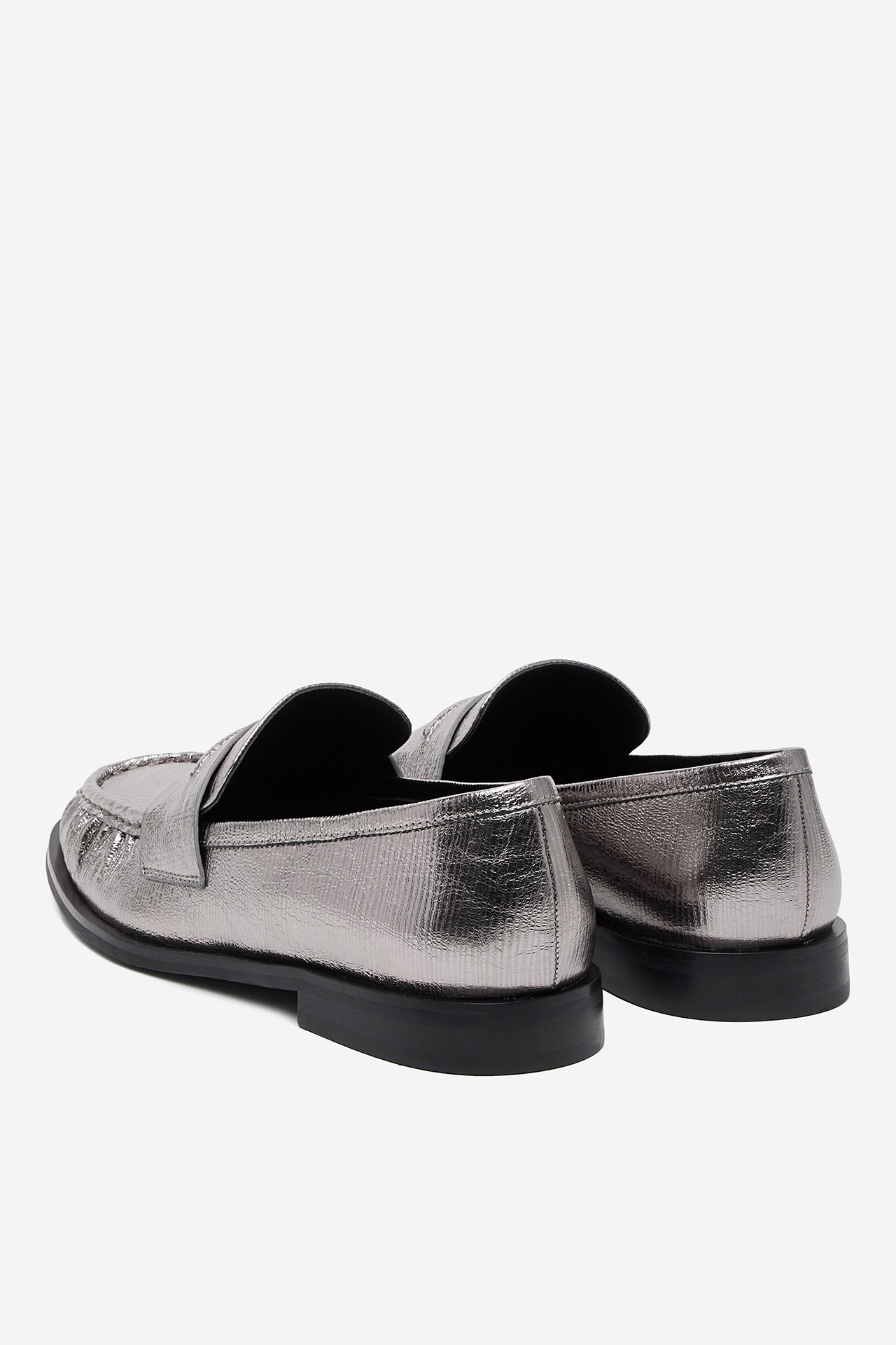 Polobotka STŘÍBRNÁ