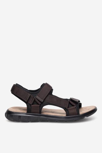 Lanetti MSS20230-13 КАФЯВ