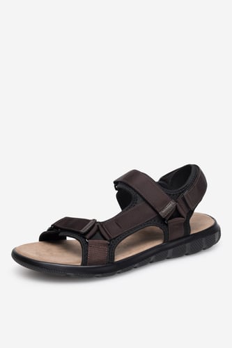 Lanetti MSS20230-13 КАФЯВ