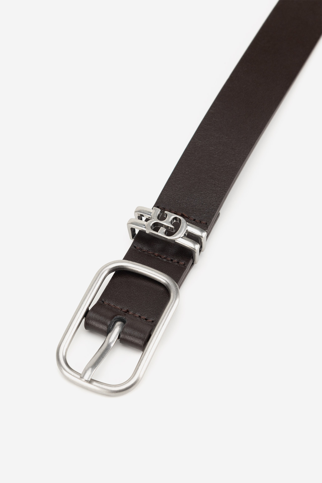 Pas Čokoladno rjava