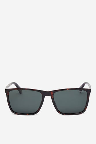 Unisex sončna očala POLAROID PLD 4180/S Rjava