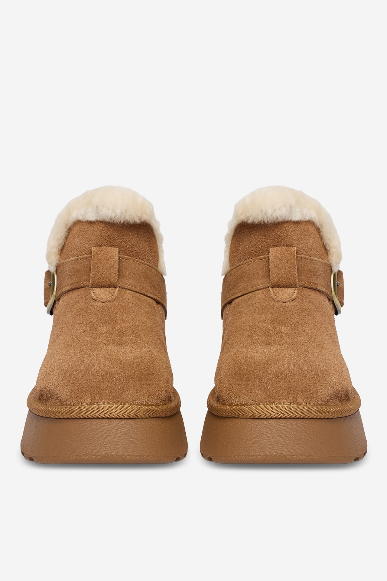 Sněhule Světle hnědá