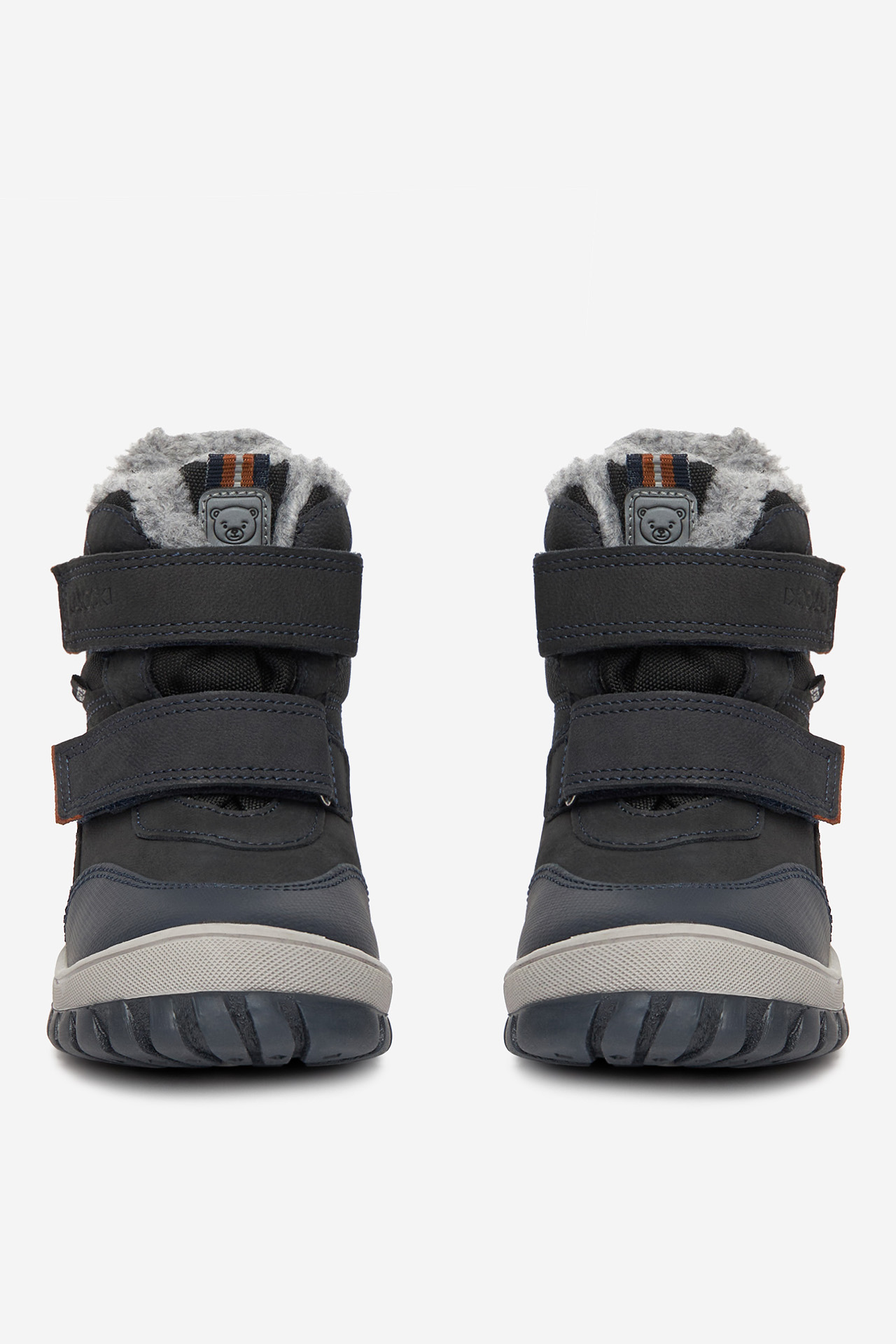 Sněhule Tmavomodrá