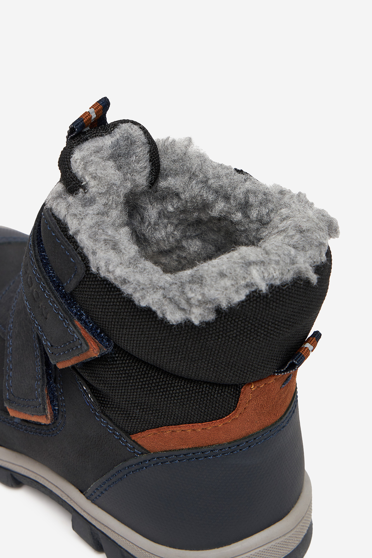 Sněhule Tmavomodrá