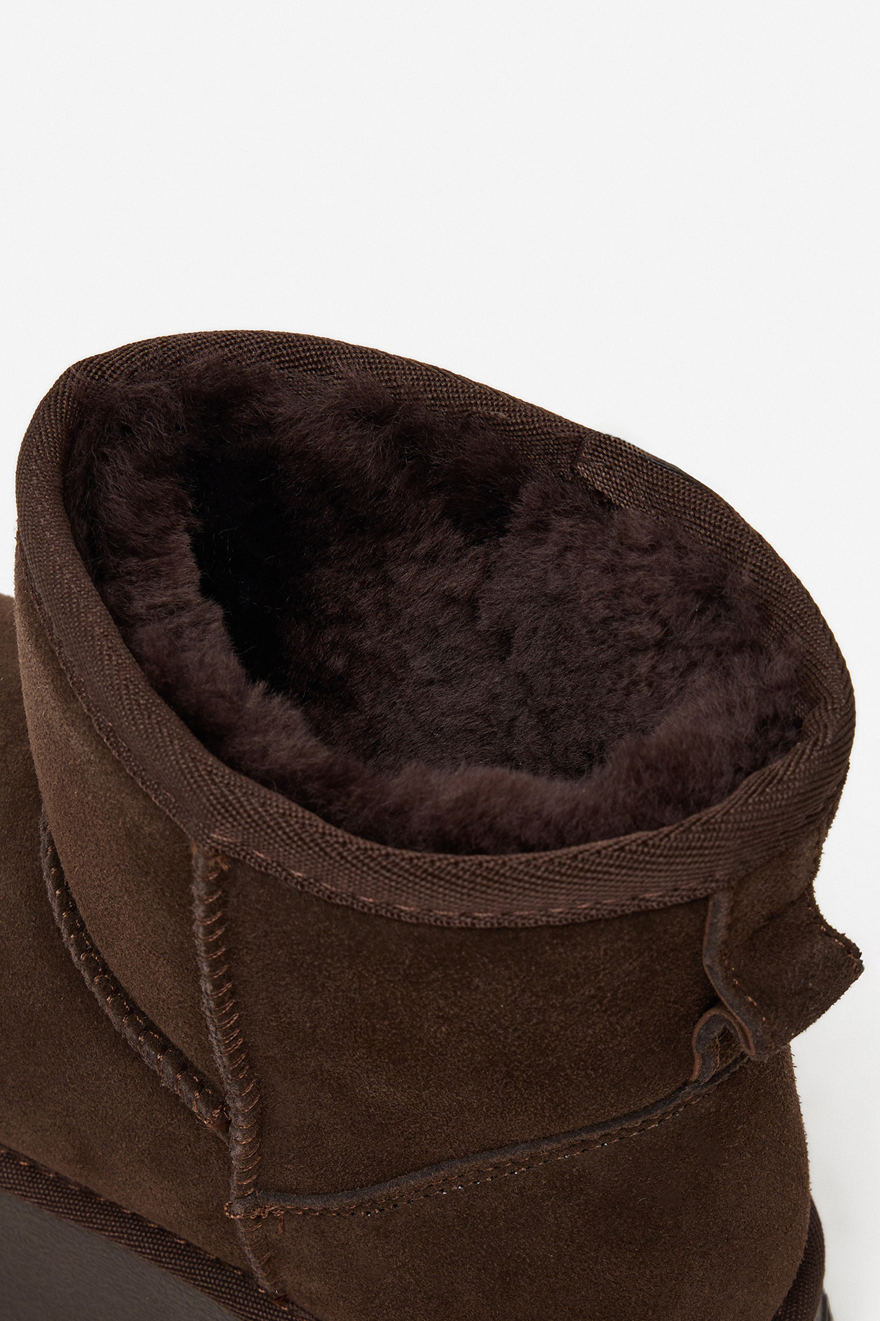 Sněhule Tmavě hnědá