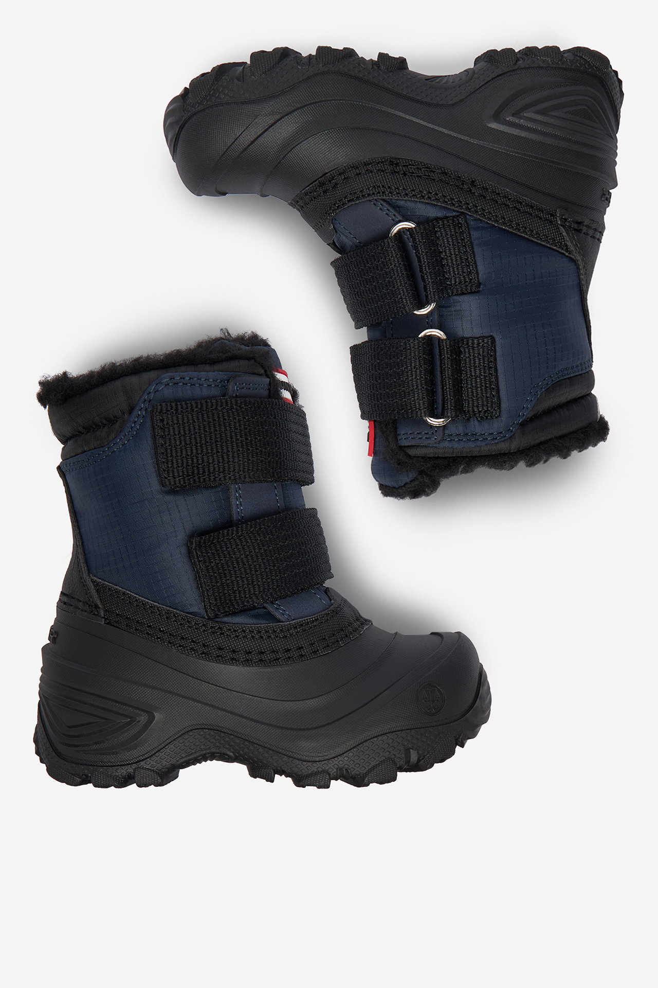 Sněhule Tmavomodrá