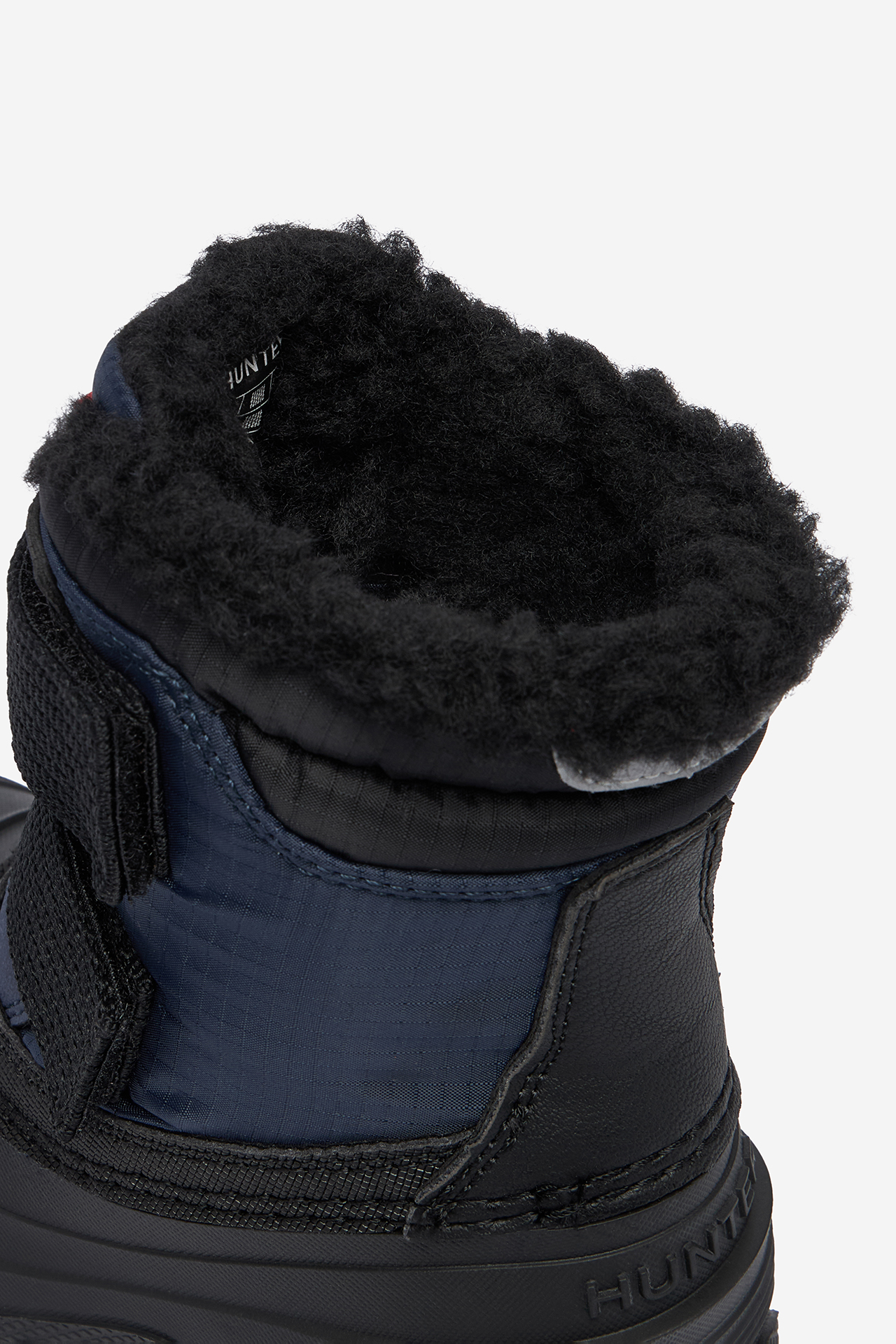 Sněhule Tmavomodrá