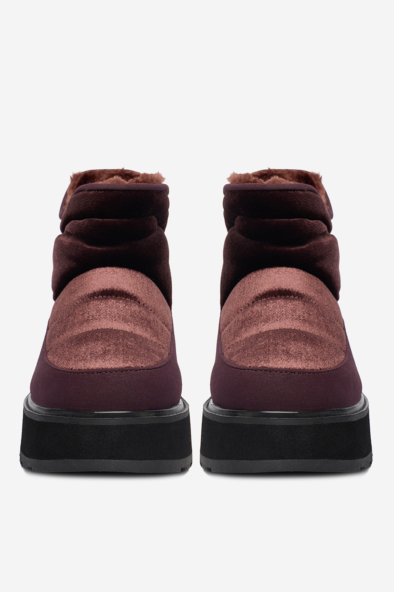 Sněhule Tmavě hnědá