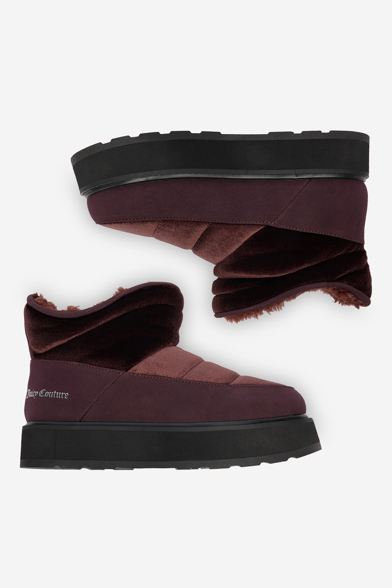 Sněhule Tmavě hnědá