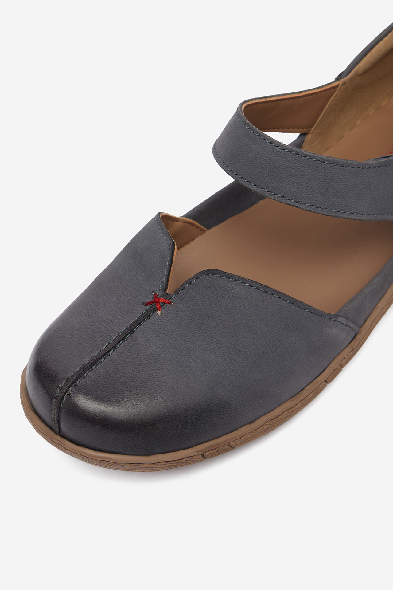 Polobotky Temný blankyt