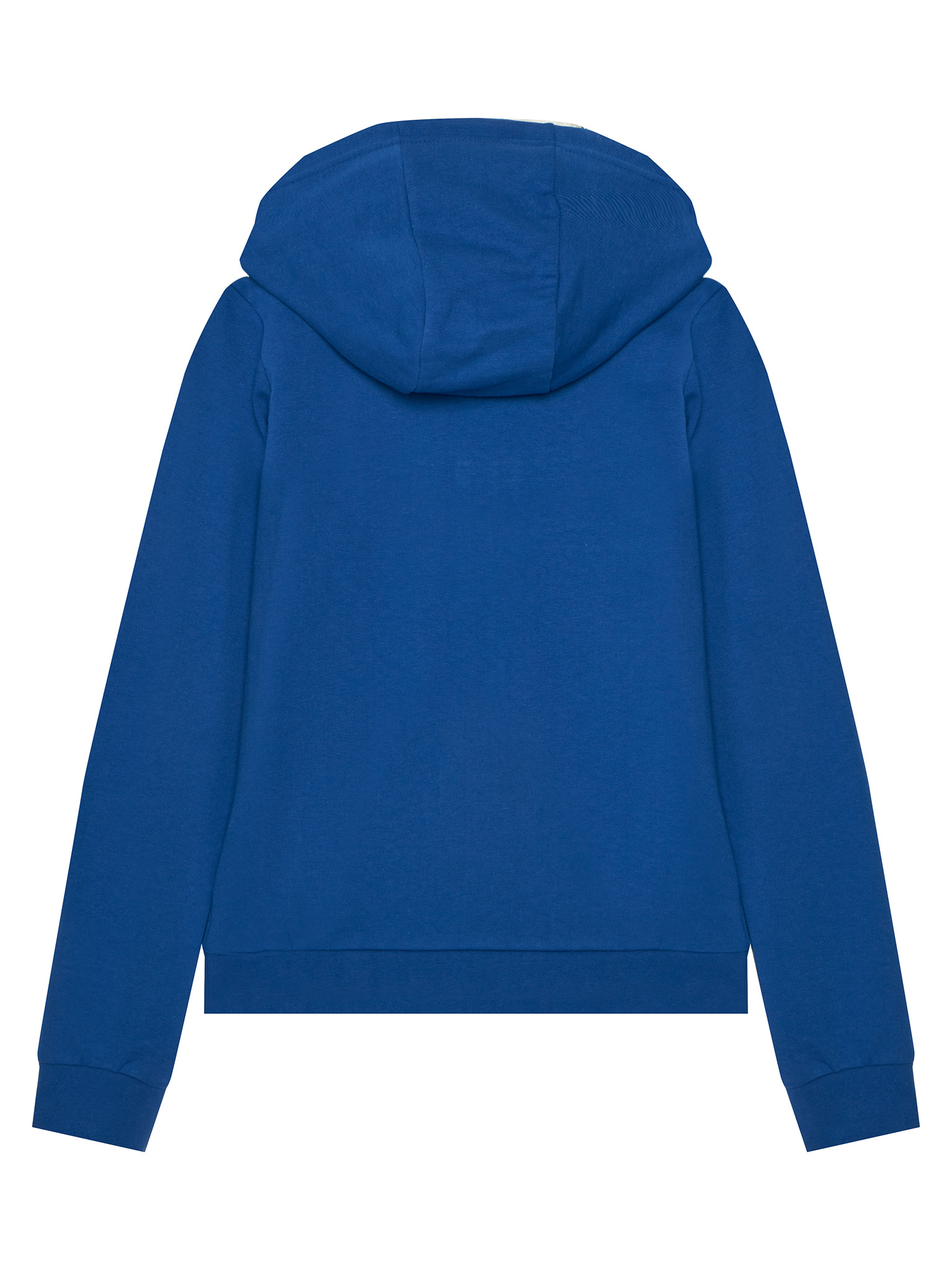 Bluza