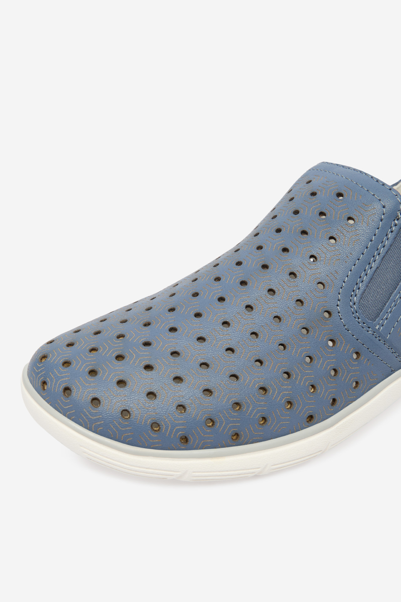 Polobotky Temný blankyt