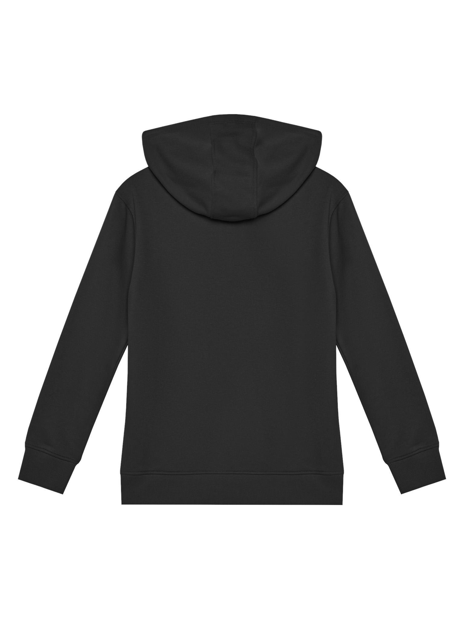 Bluza