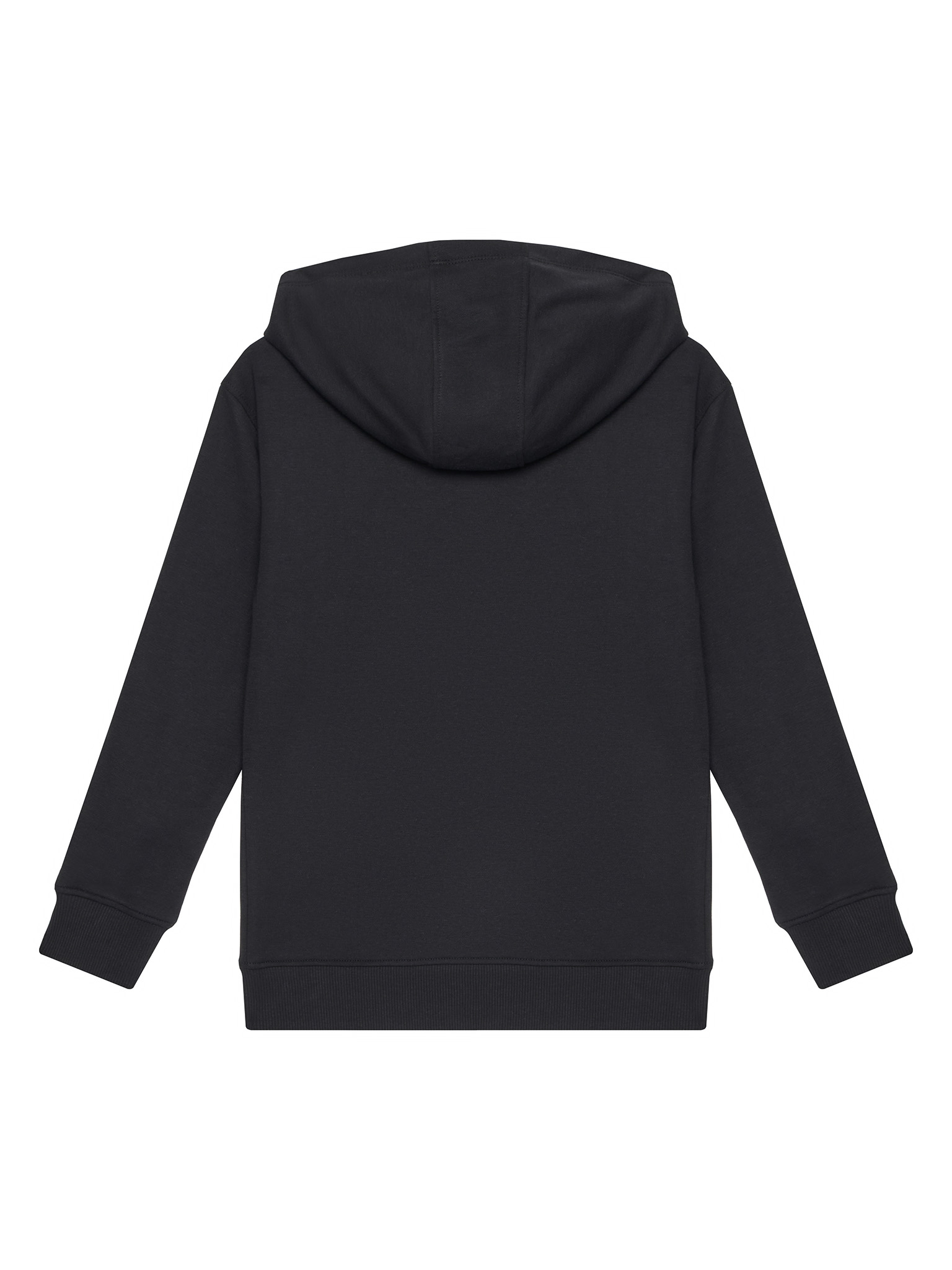 Bluza