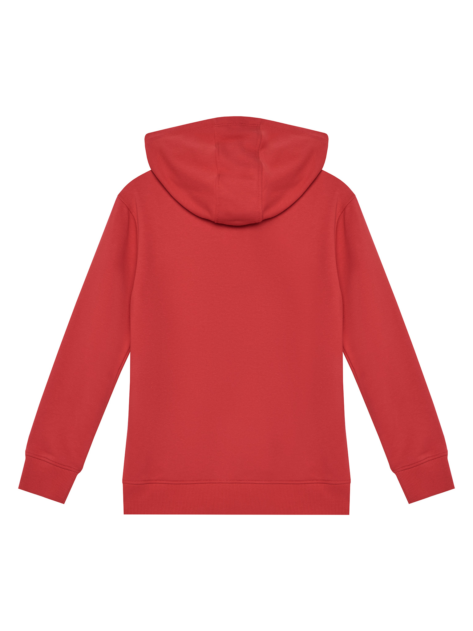 Bluza