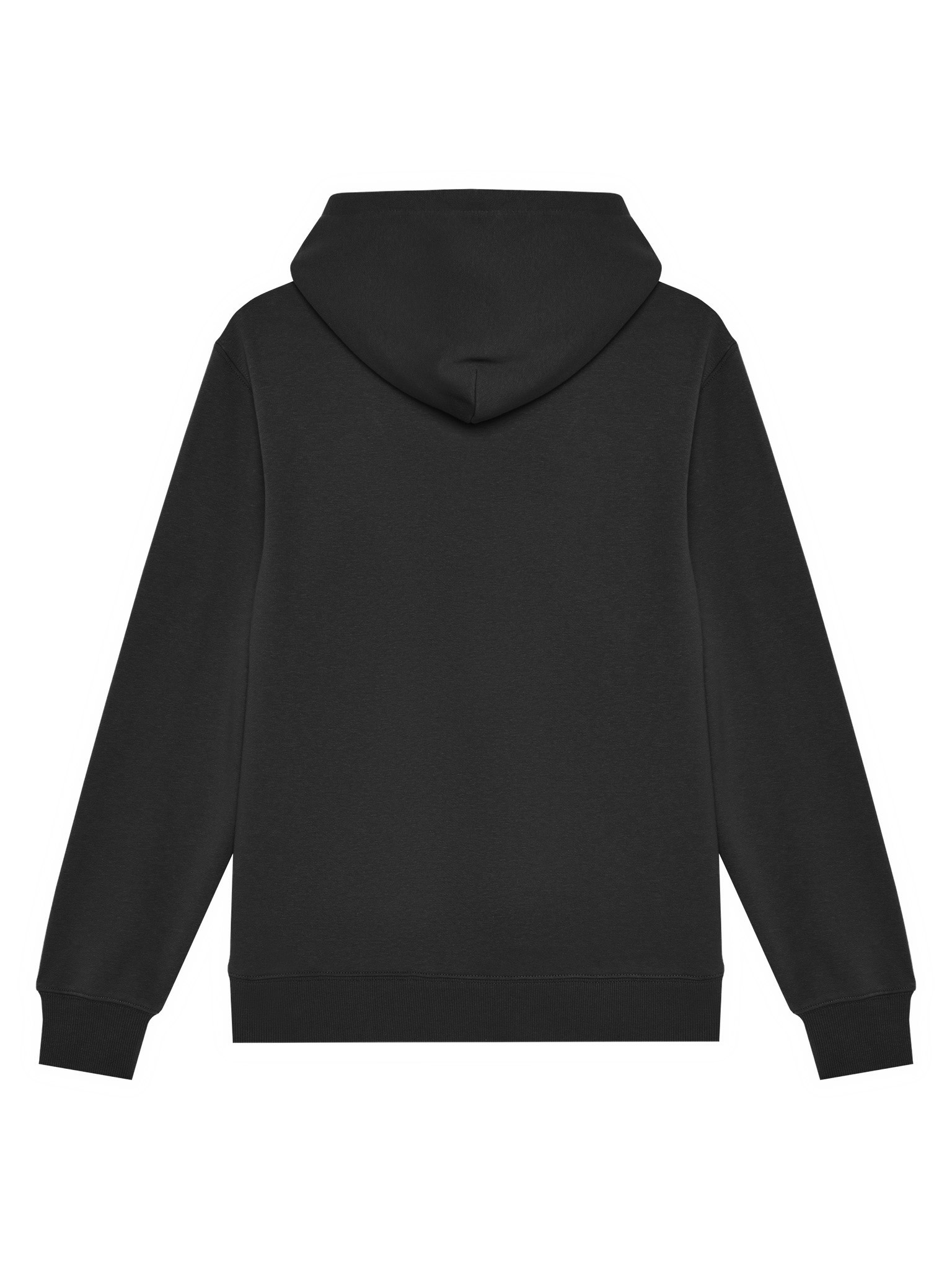 Bluza