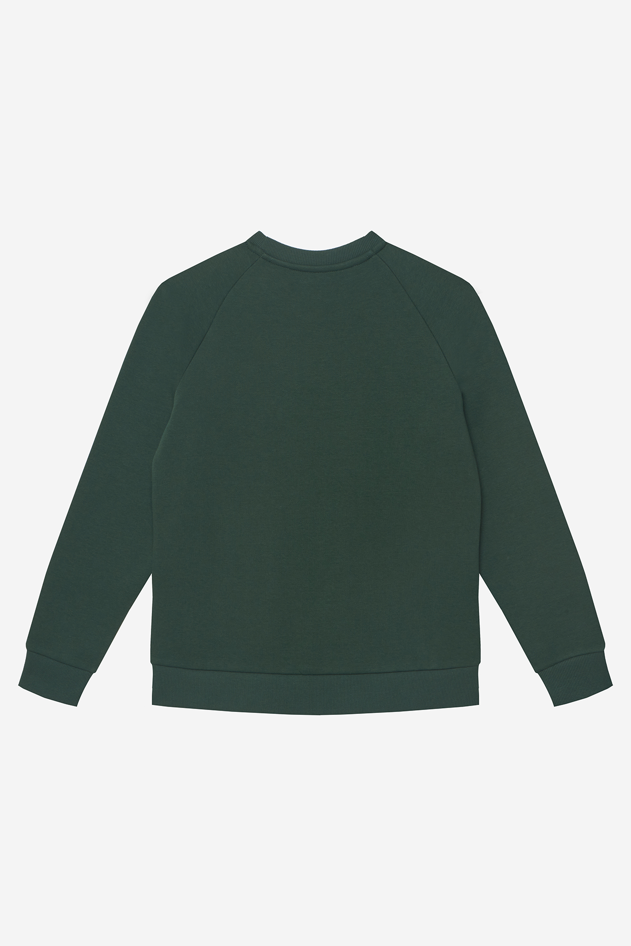 Bluza