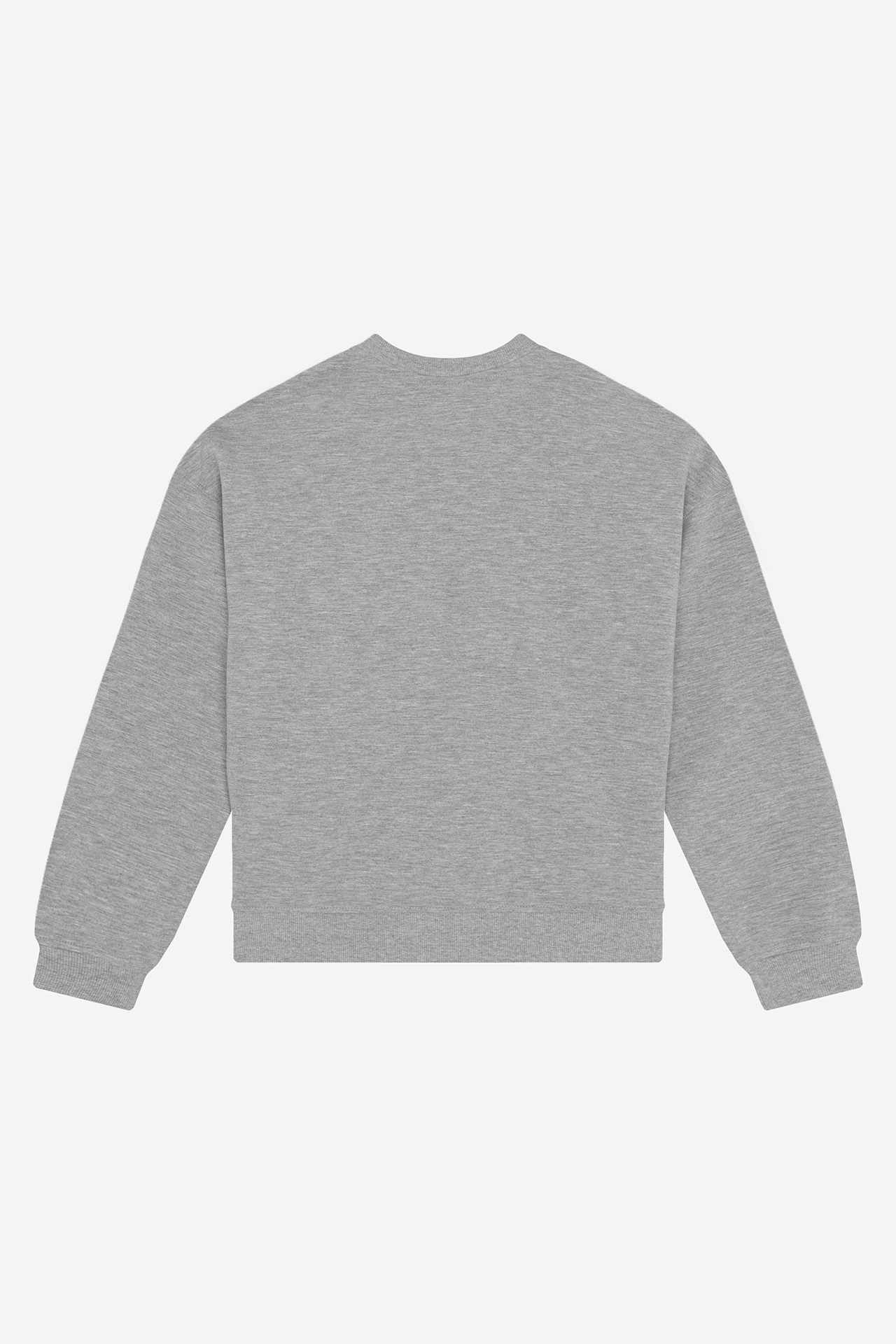 Bluza 4F 4FJWAW26TSWSM3237-26M Szary