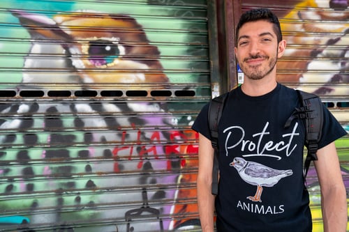 I'm Rocky from The Rocky Safari