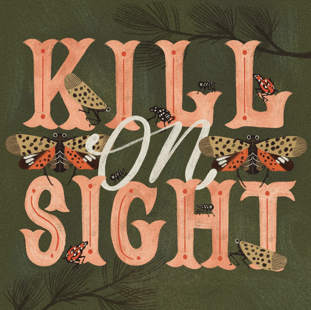 Illustration says "Kill on Sight" referencing The Spotted Lanternfly