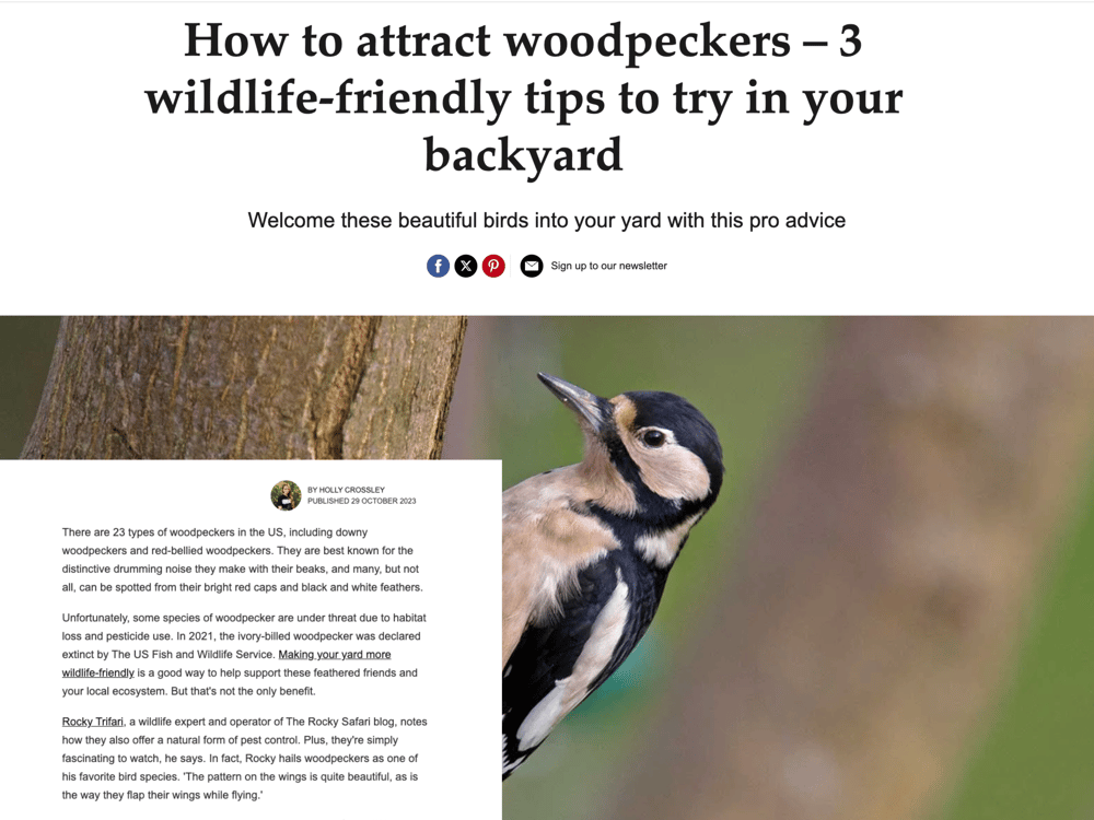 Homes & Gardens:
How to Attract Woodpeckers