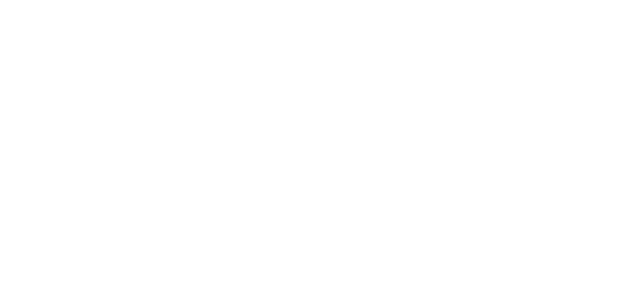 Savi