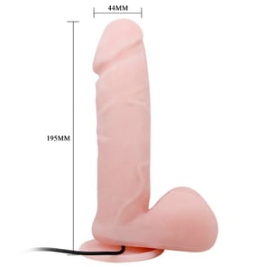 Realistic Dildo With Vibration And Rotation 20 CM