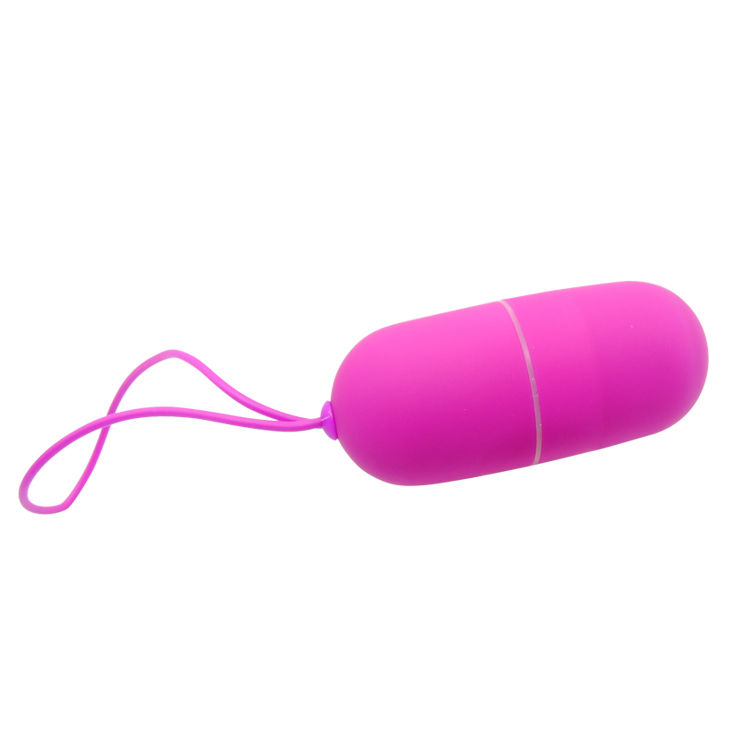 Vibrating Egg Arvin Remote Control 12v