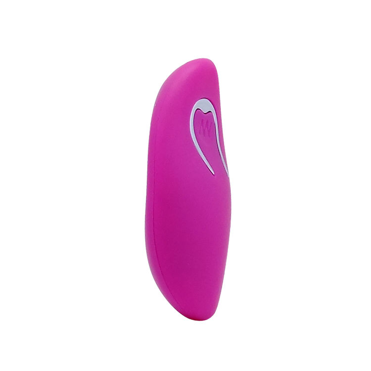 Vibrating Egg Arvin Remote Control 12v
