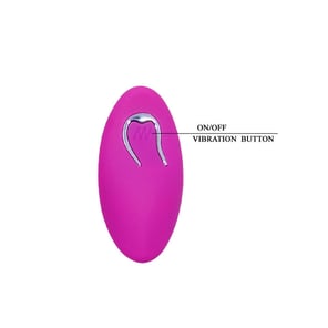 Vibrating Egg Arvin Remote Control 12v