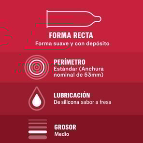 Saboreame 12 Unidades
