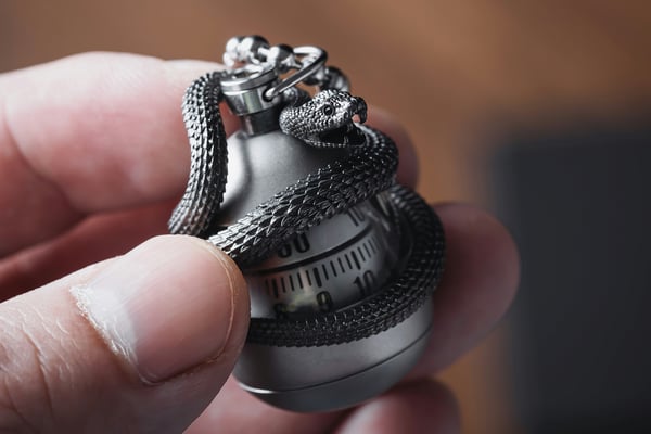 Detailní pohled na ruku držící elegantní 3D tištěný přívěsek se složitým motivem hada, který se obtáčí kolem kulaté kovové schránky.