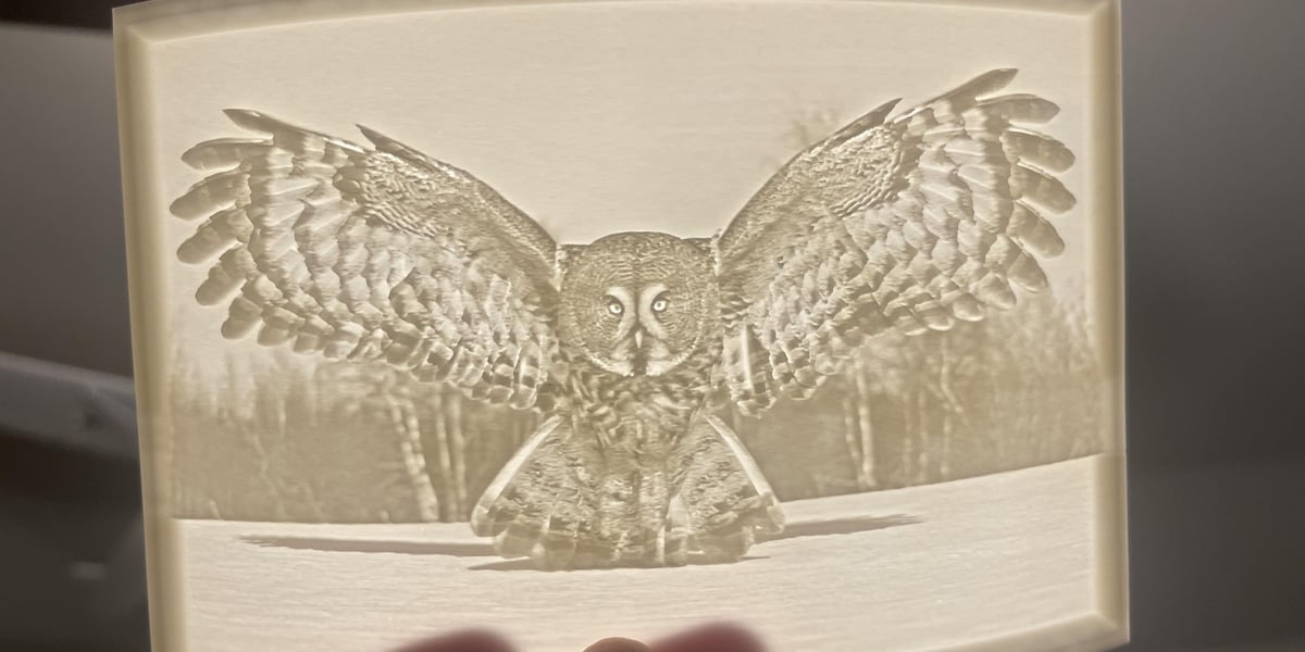 Podsvícená 3D tištěná litofanie sovy držená v ruce, ukazující detailní osobní dárek vyrobený 3D tiskem.