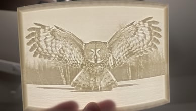 Podsvícená 3D tištěná litofanie sovy držená v ruce, ukazující detailní osobní dárek vyrobený 3D tiskem.