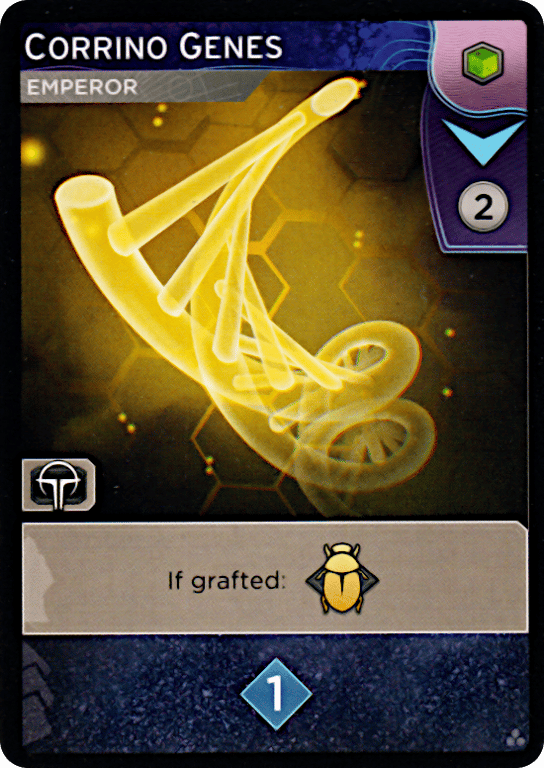 Corrino Genes