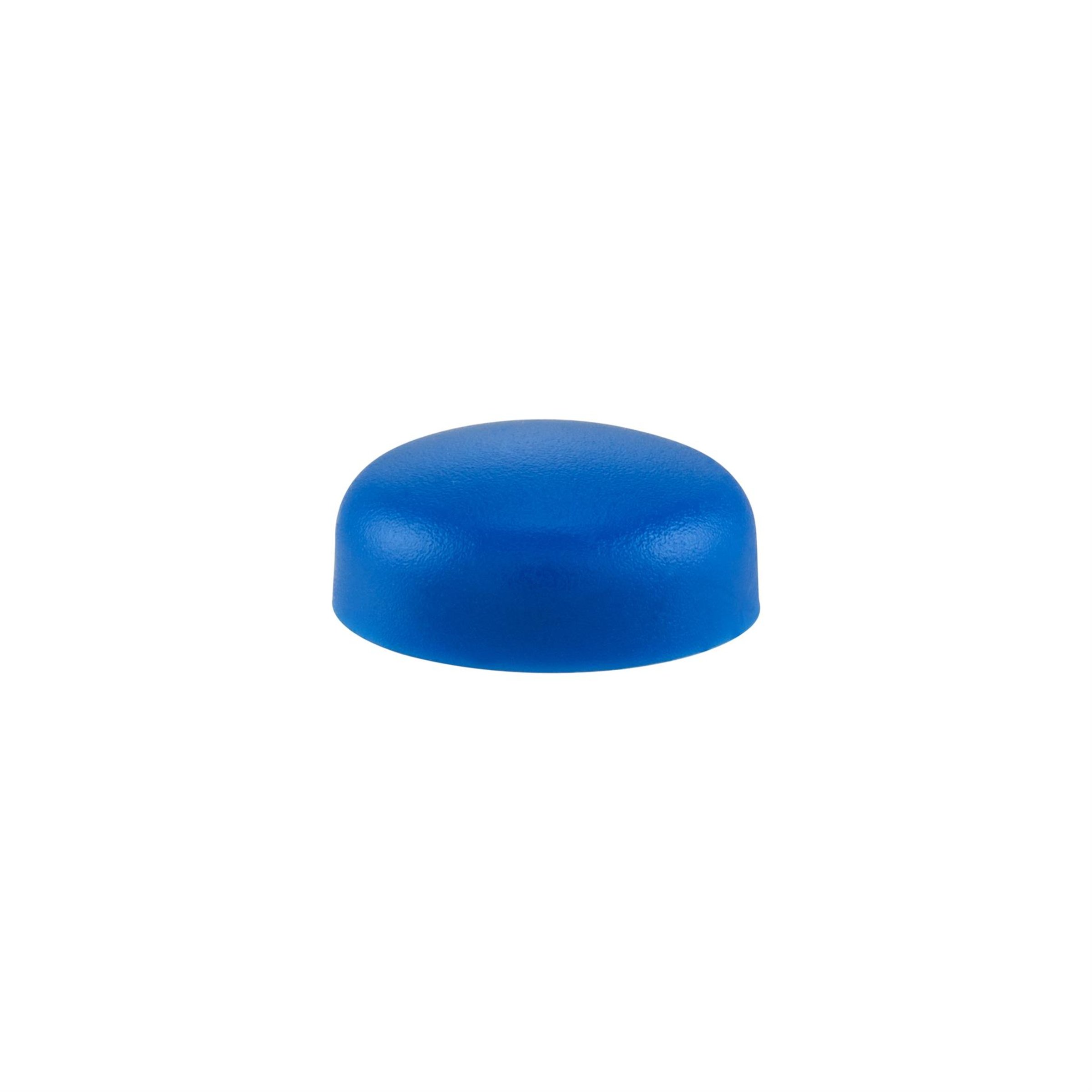 Image of Abdeckkappe Schraube Kennzeichen blau