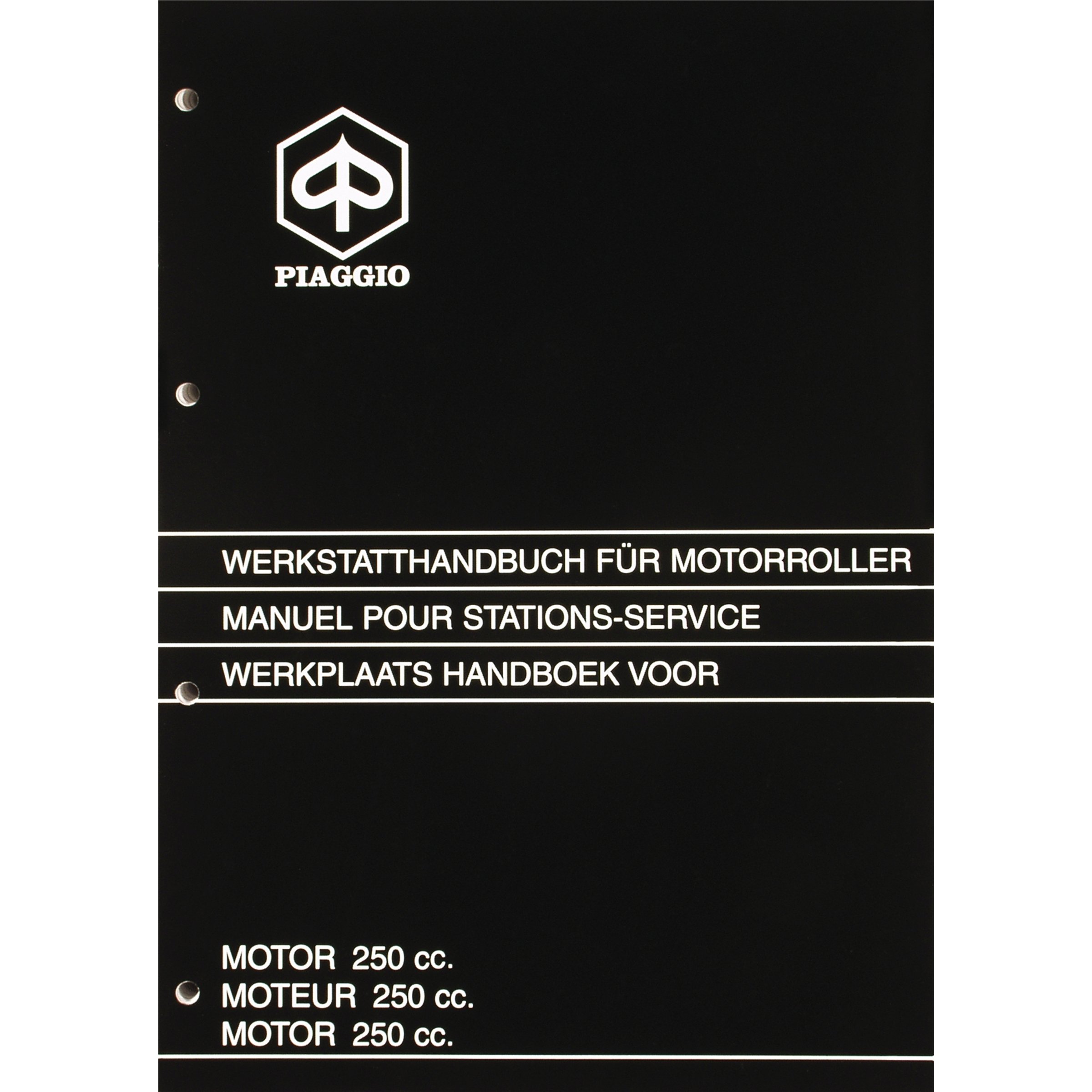 Image of Werkstatthandbuch PIAGGIO Motor 250ccm GT (Honda CN 250 Motor)
