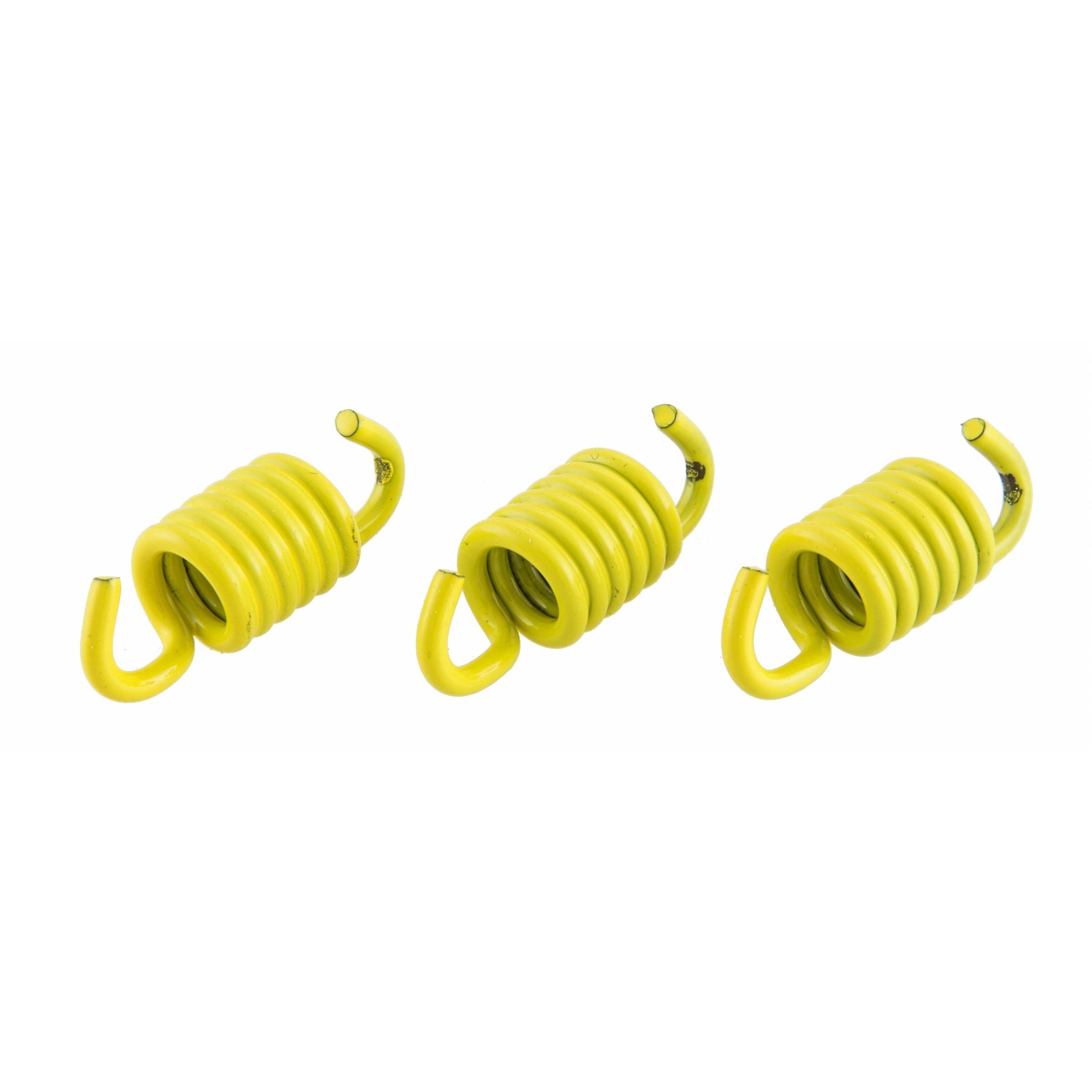 Image of Kupplungsfedern MALOSSI Sport Fly/Delta Clutch, für M527643/M527879/M527880/M529451/M5215166/M528796/M528797/M528798/M529450