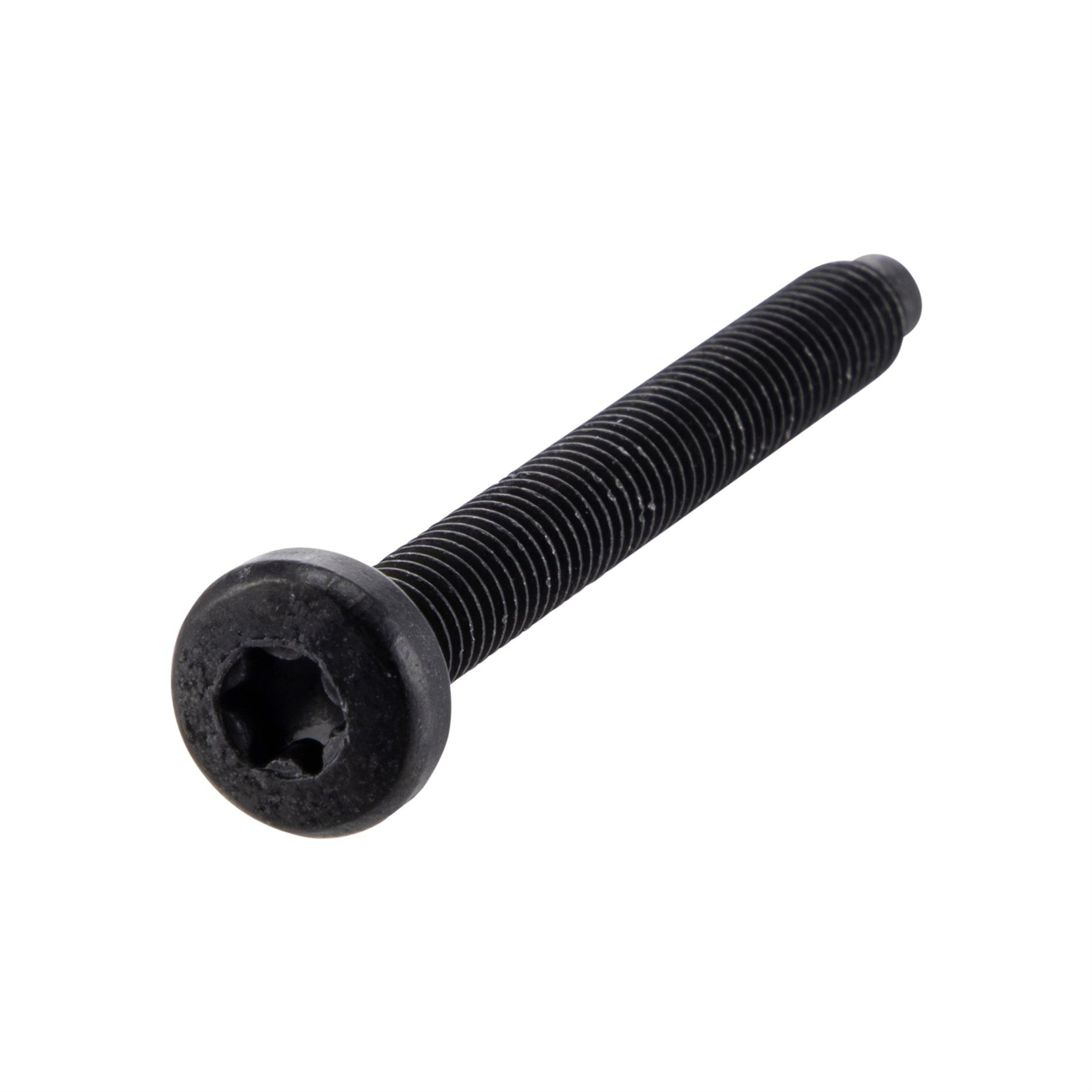 Image of Schraube Luftfilterkasten M6x55 mm, Linsenkopf Torx, PIAGGIO für Vespa GTS/GTS Super/Primavera/Sprint 50-300ccm für Vespa GTS/GTS Super/Primavera/Sprint 50-300ccm