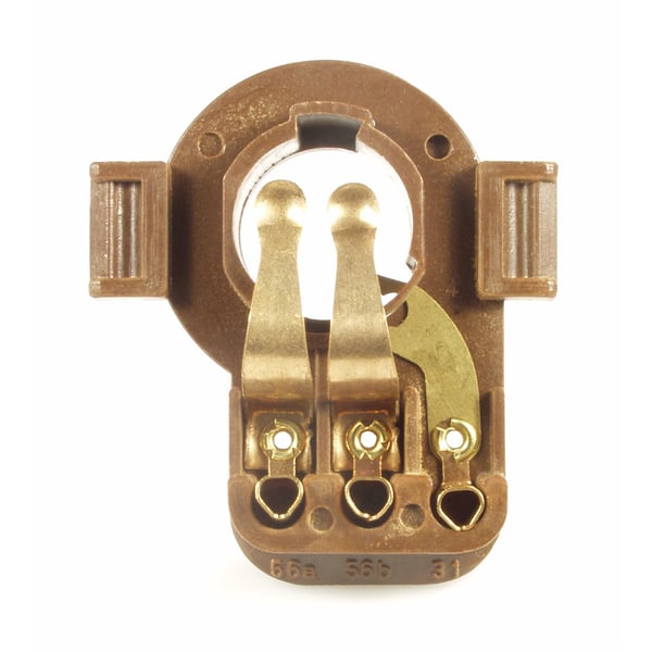 Image of Birnenfassung