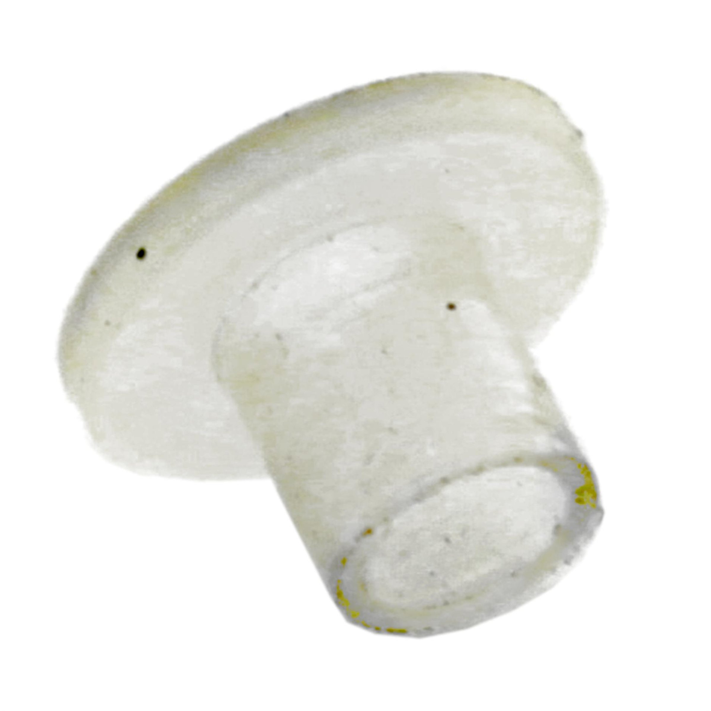Image of Buchse für Vespa 125 VNB/150 T4/GS/160 GS (D) für Vespa 125 VNB/150 T4/GS/160 GS (D)